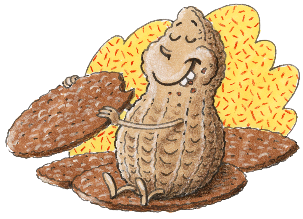 Illustration einer Erdnuss, die ein Plätzchen isst. (Quelle: Peter Laux)