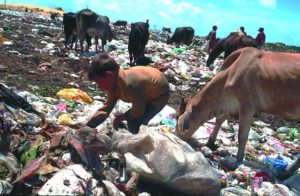 Ein Kind und mehrere Kühe wühlen auf einer Müllhalde nach Abfällen. (Quelle: Christoph Engel)