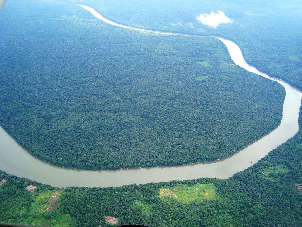 Der Amazons-Fluss im Bundesstaat Amazonas. (Quelle: Jorge.kike-wikimedia commons)