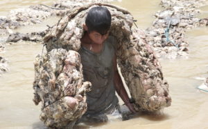 Ein Junge schleppt einen riesigen Sack Kautschuk aus dem Fluss an Land. (Quelle: Christian Herrmanny)