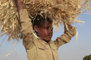 Ein Junge trägt einen Getreideballen auf dem Kopf. (Quelle: Christian Herrmanny)
