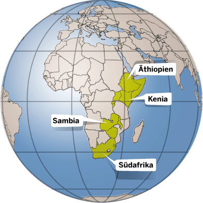 Länderinfos Afrika