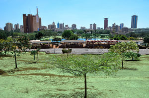 Nairobi. (Quelle: Jorge Láscar/wikimedia commons)