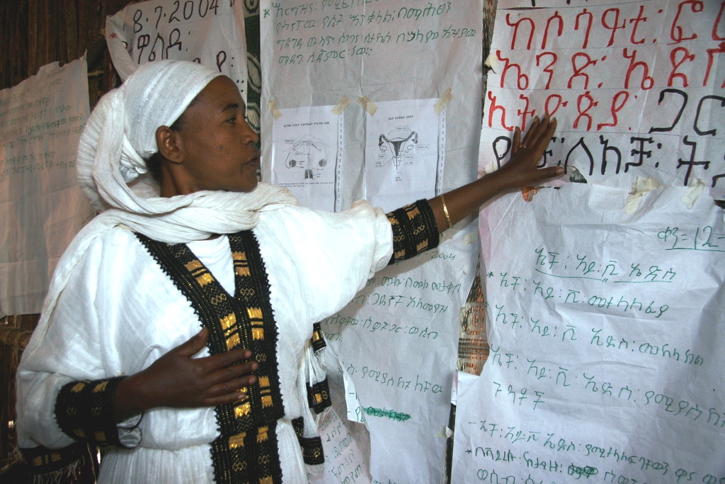 Eine Frau zeigt auf Plakate mit äthiopischen Schriftzeichen. (Quelle: Christian Herrmanny)