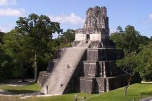 Maya-Pyramide in der Stadt Tikal. (Quelle: Jakob Studnar)