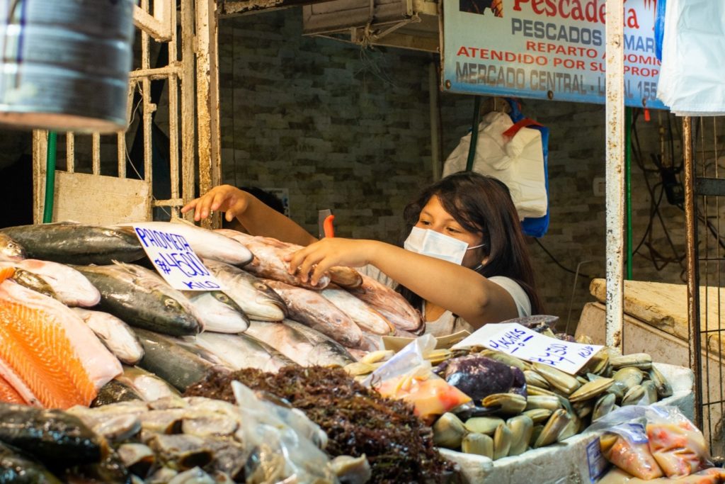  Auch während der Lockdowns in Chile arbeitete Sahory auf dem Markt (Quelle: Victor Zavaleta Carbajal)