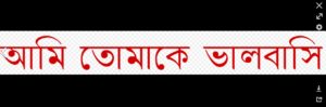 "Ich liebe dich" auf Bengalisch oder Bangla (Quelle: Original:  Matfran Vector:  Mrmw, CC0, via Wikimedia Commons)