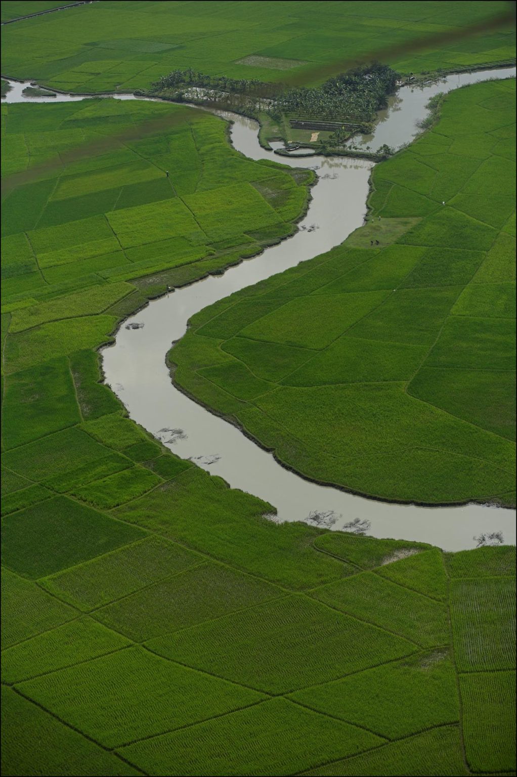 Sprachführer Bengali oder Bangla (Bangladesch) Robinson im Netz
