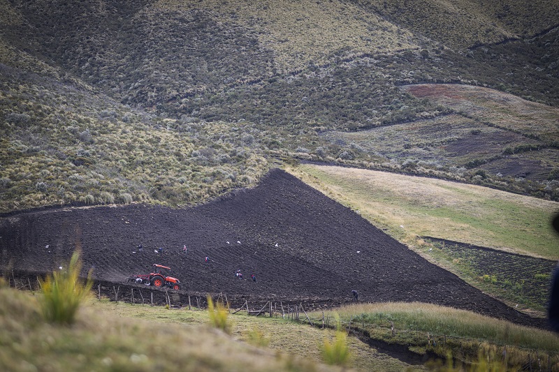 Ein Traktor pflügt einen Acker hoch oben in den Anden (Quelle: Martin Bondzio)